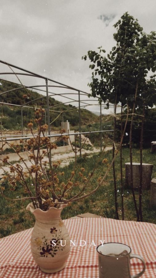Bujtina Hader Xhebro Hostel Tepelene Luaran gambar