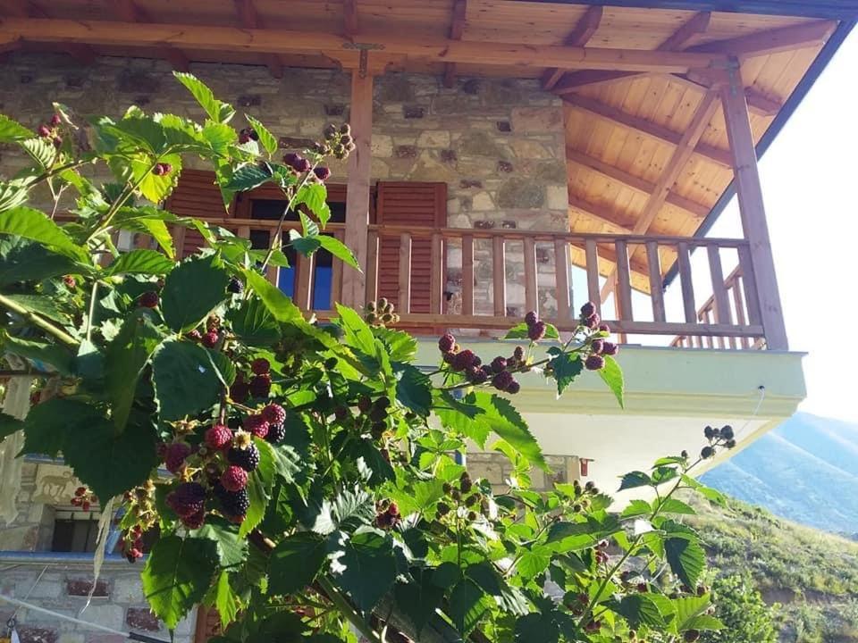 Bujtina Hader Xhebro Hostel Tepelene Luaran gambar