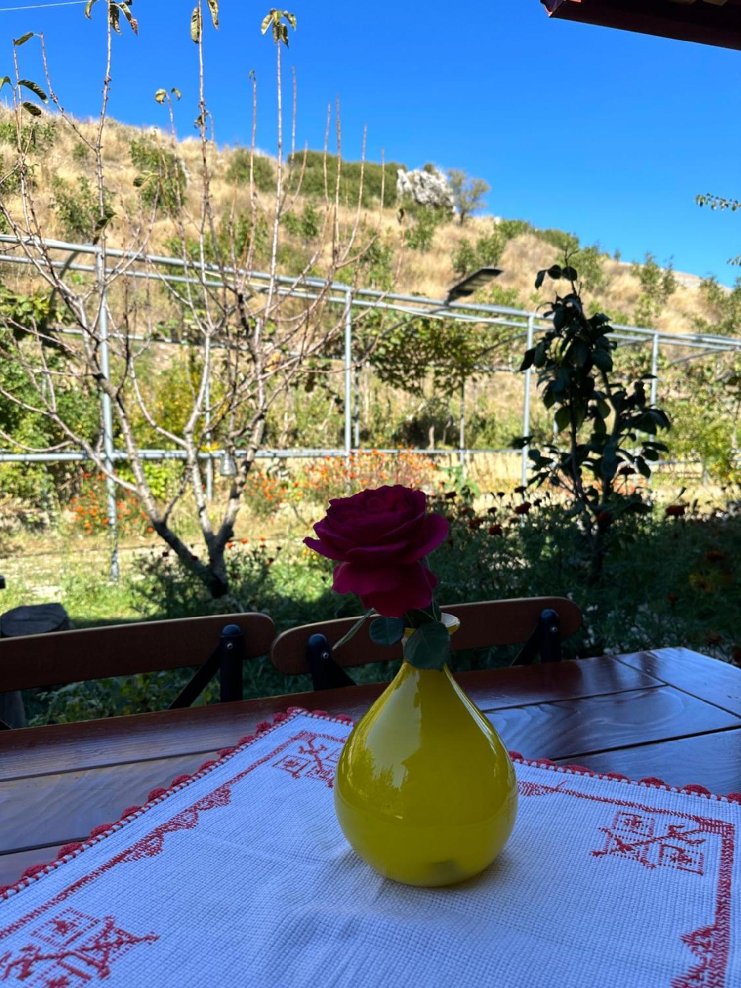 Bujtina Hader Xhebro Hostel Tepelene Luaran gambar