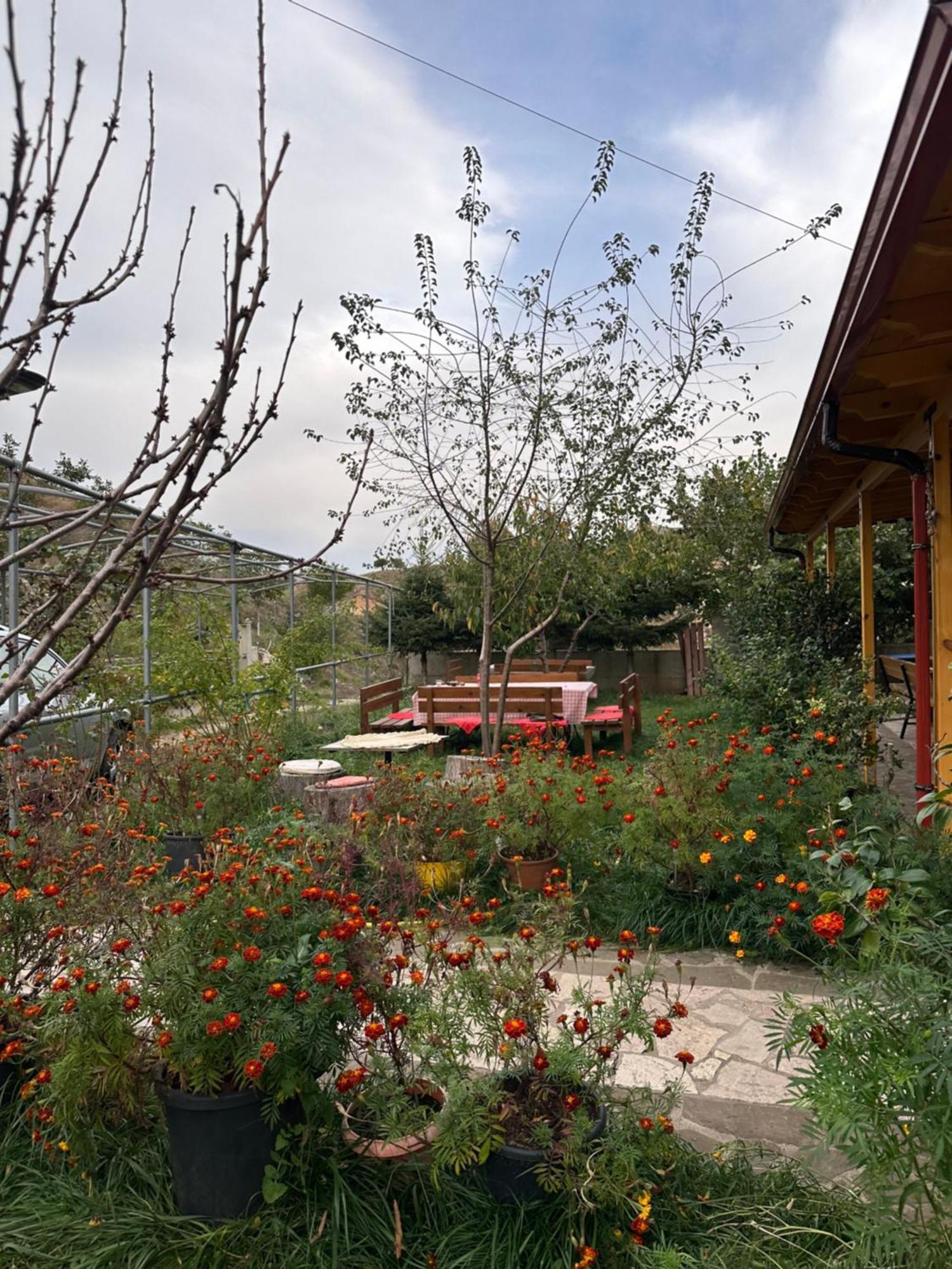 Bujtina Hader Xhebro Hostel Tepelene Luaran gambar